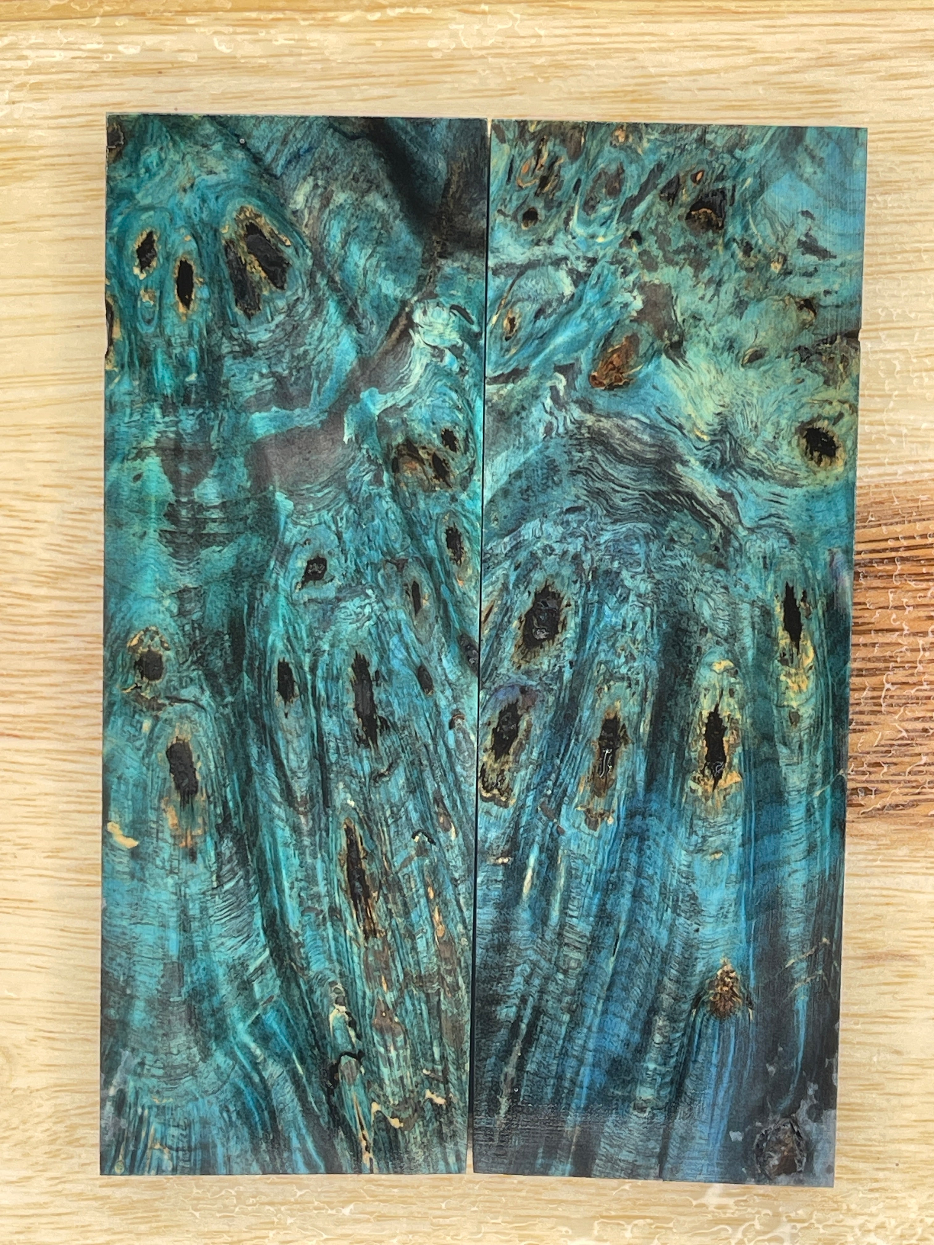 KS-019: Knife Scales - Blue Dye Stabilized Buckeye Burl - Jakob Janssen Studios