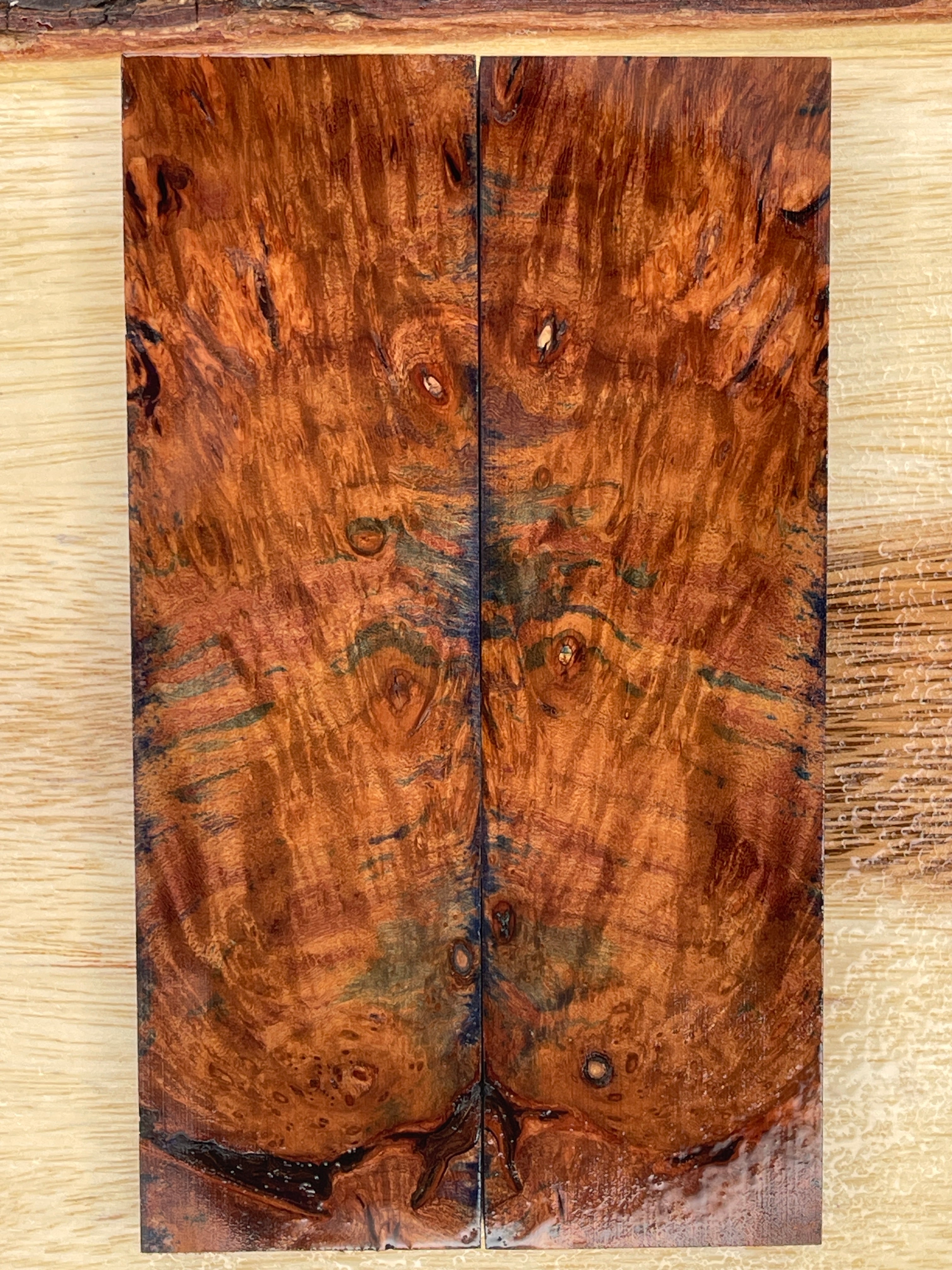 KS-022: Knife Scales - Blue Dye Stabilized Cherry Burl - Jakob Janssen Studios