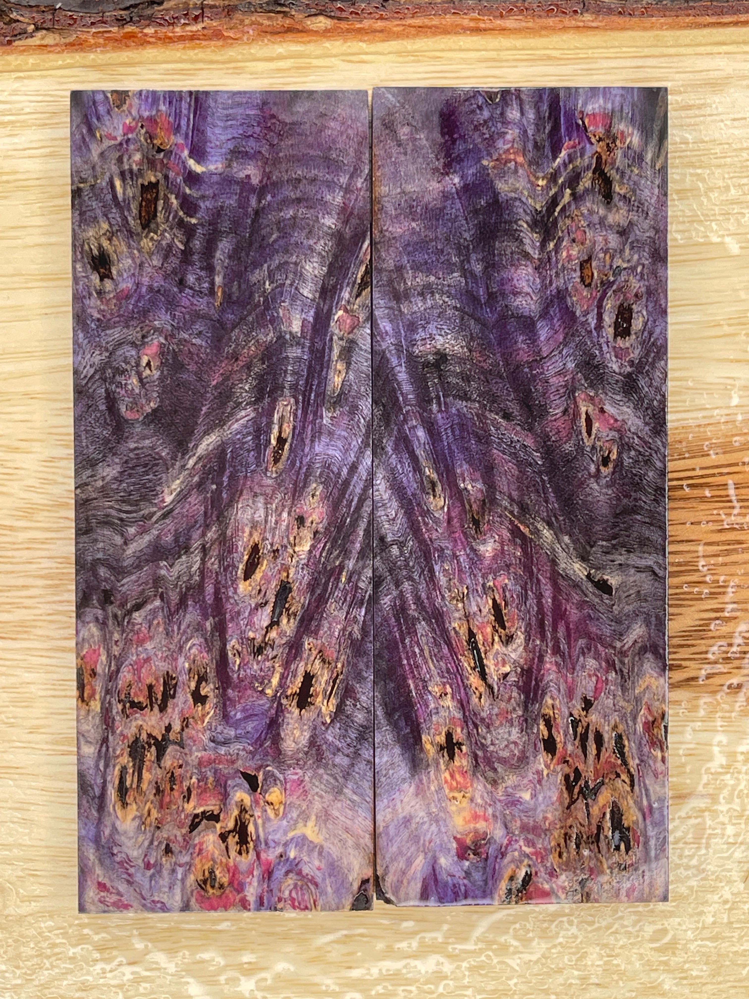 KS-027: Knife Scales - Purple Dye Stabilized Buckeye Burl - Jakob Janssen Studios