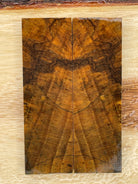 KS-029: Knife Scales - Yellow Dye Stabilized Spalted Maple - Jakob Janssen Studios