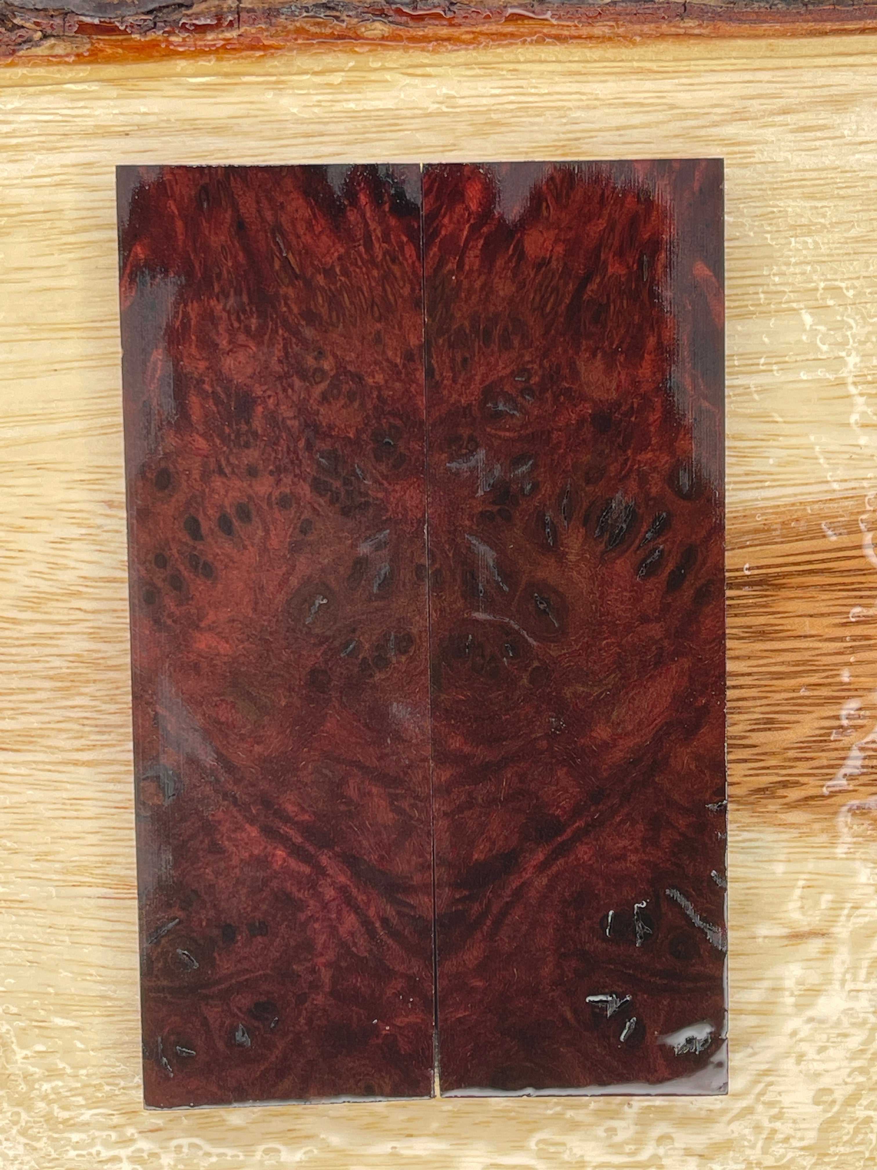 KS-031: Knife Scales - Red Dye Stabilized Cherry Burl - Jakob Janssen Studios