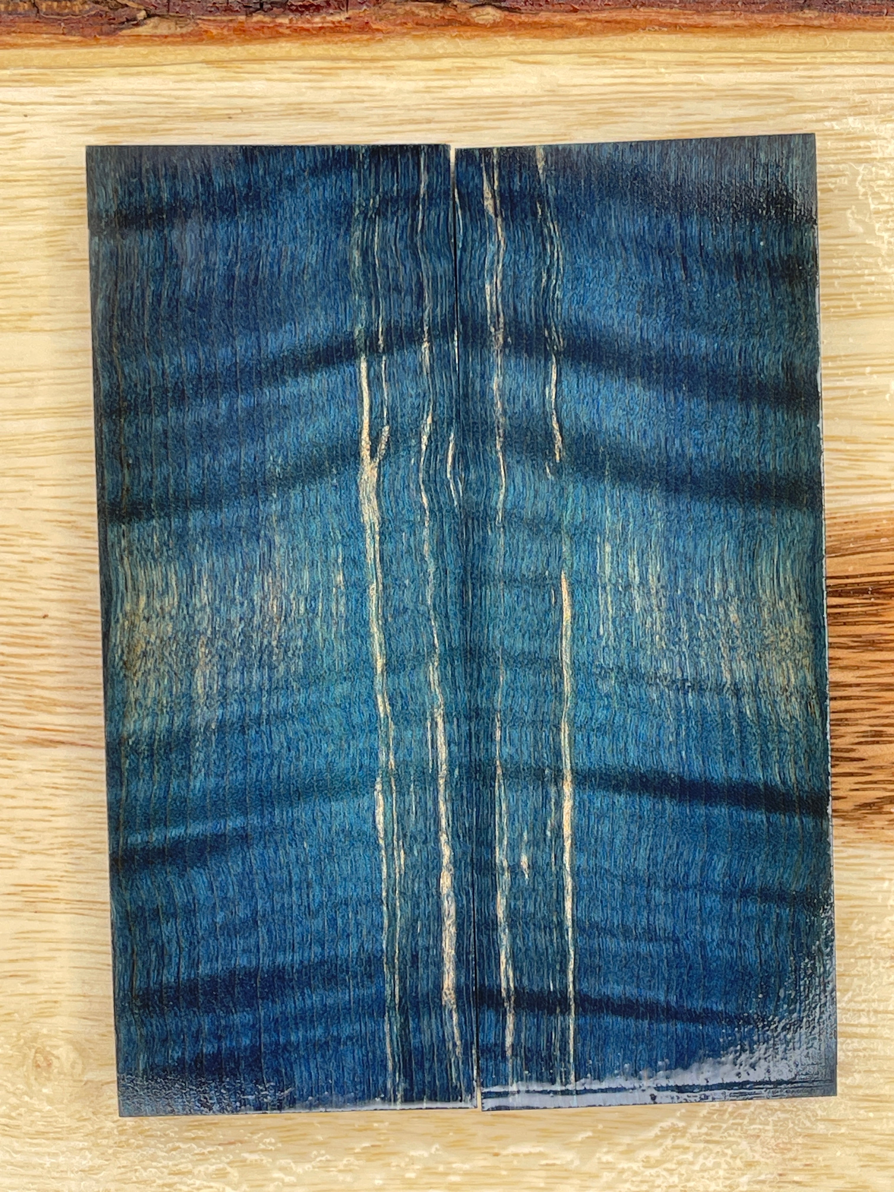 KS-043: Knife Scales - Blue Dye Stabilized Curly Maple