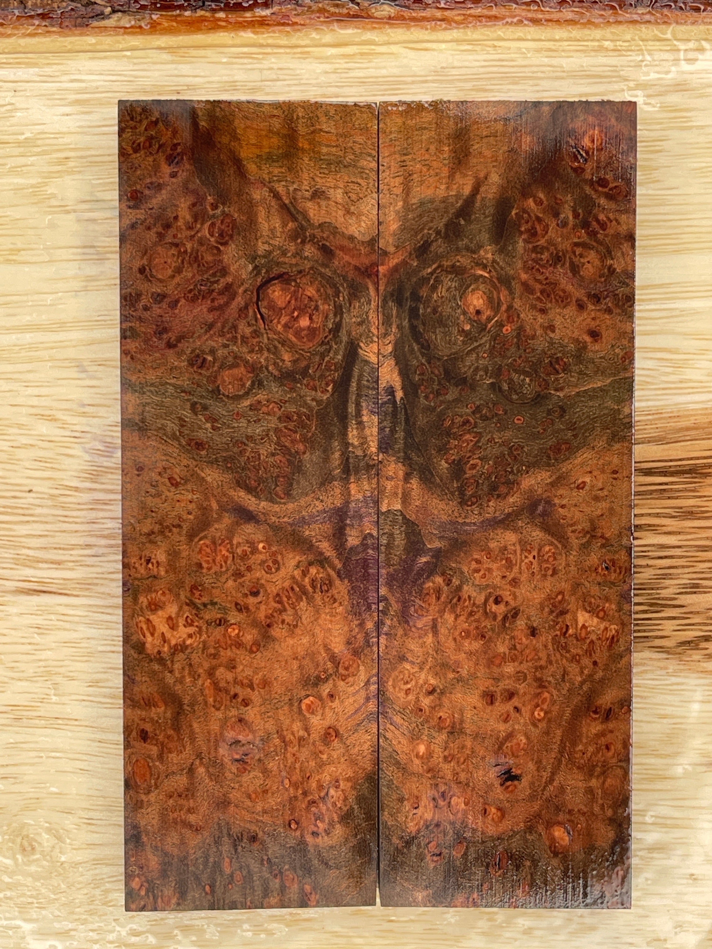 KS-053: Knife Scales - Blue Dye Stabilized Cherry Burl - Jakob Janssen Studios