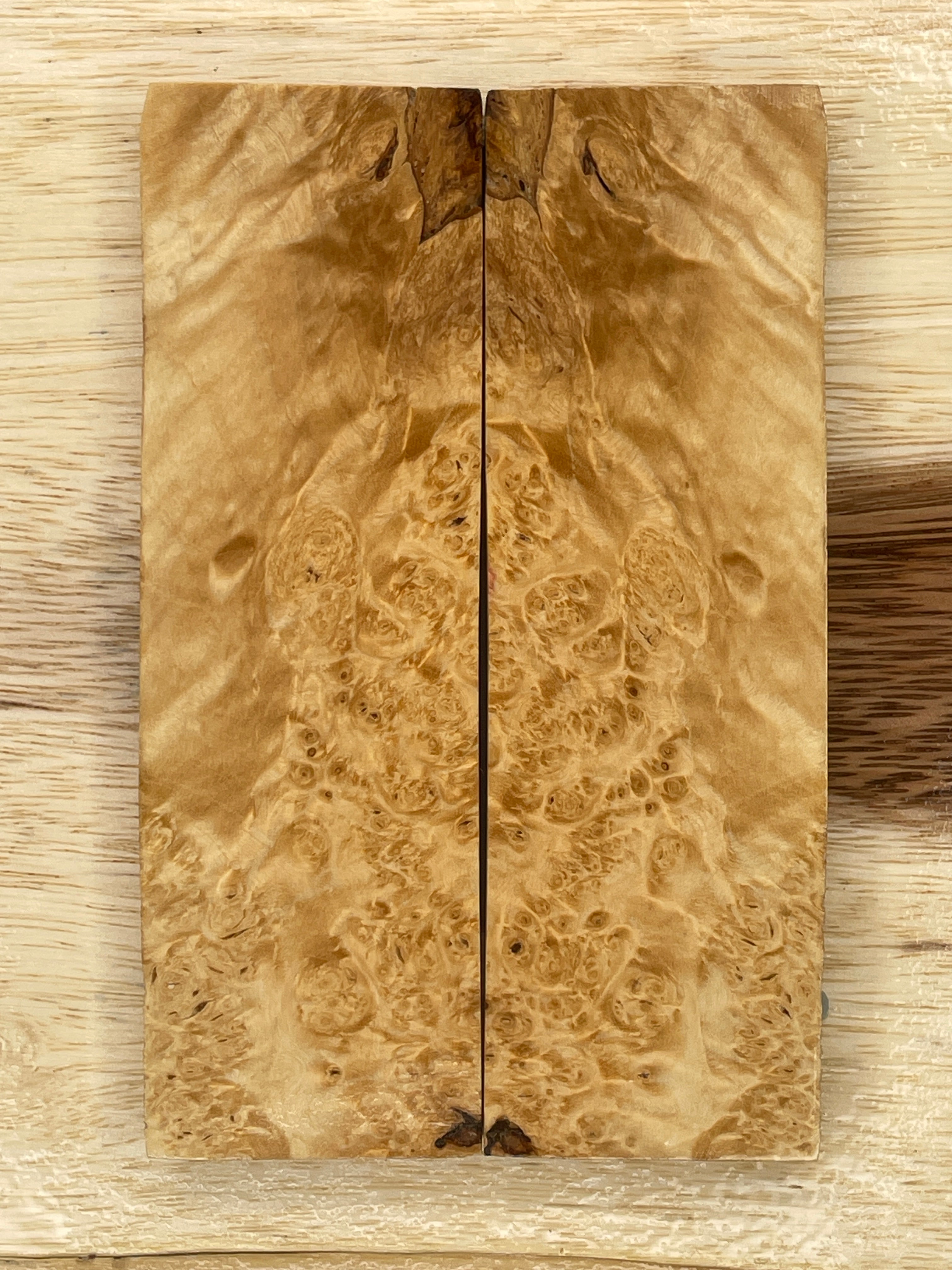 KS-067: Knife Scales - Natural Stabilized Maple Burl - Jakob Janssen Studios