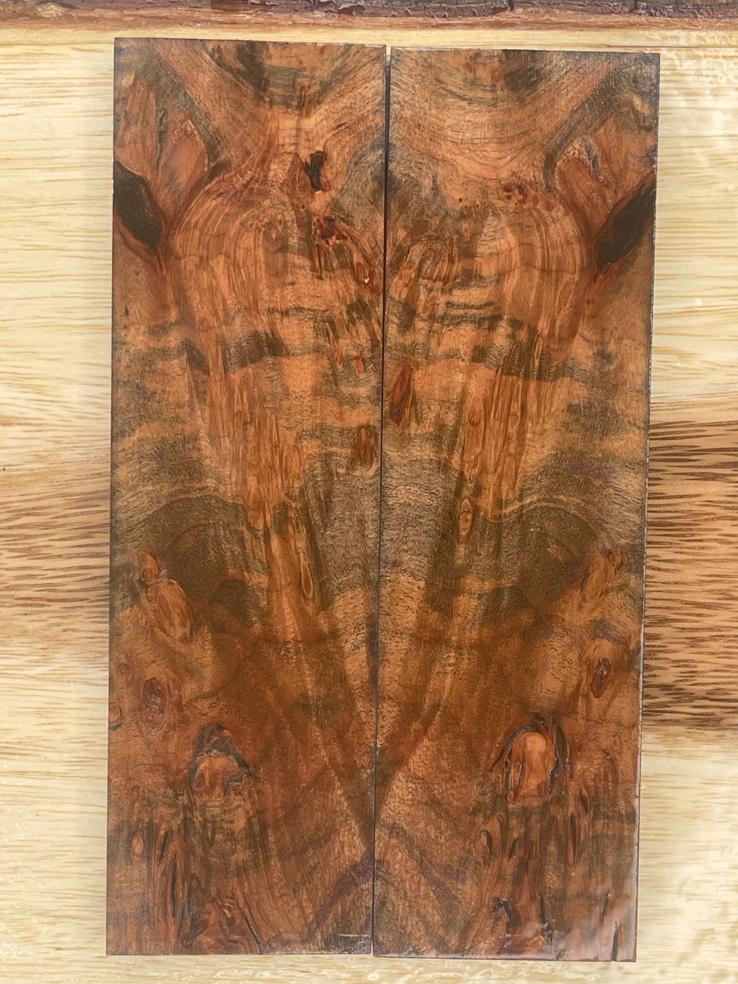 KS-094: Knife Scales - Blue Dyed Stabilized Cherry Burl - Jakob Janssen Studios