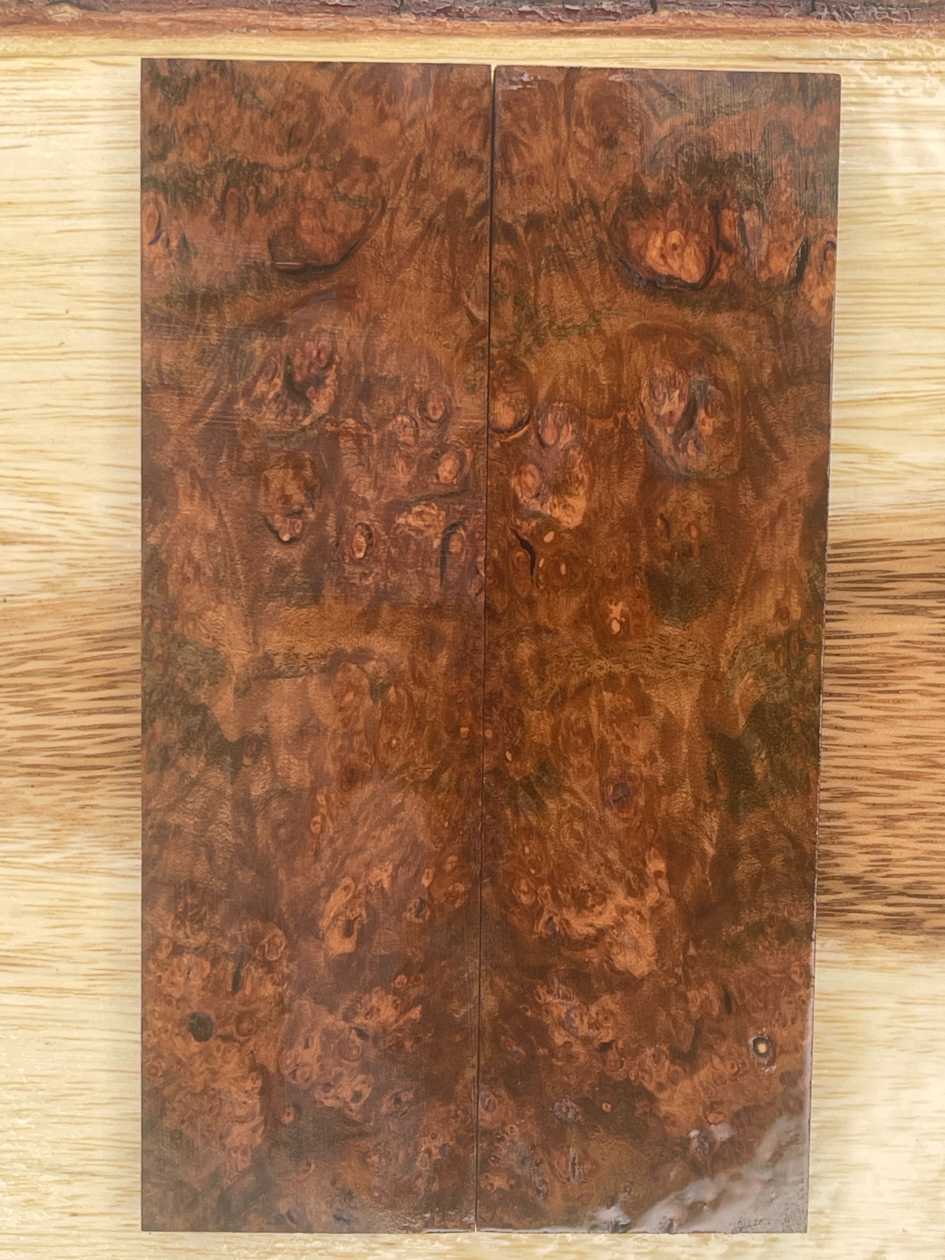 KS-095: Knife Scales - Blue Dyed Stabilized Cherry Burl - Jakob Janssen Studios