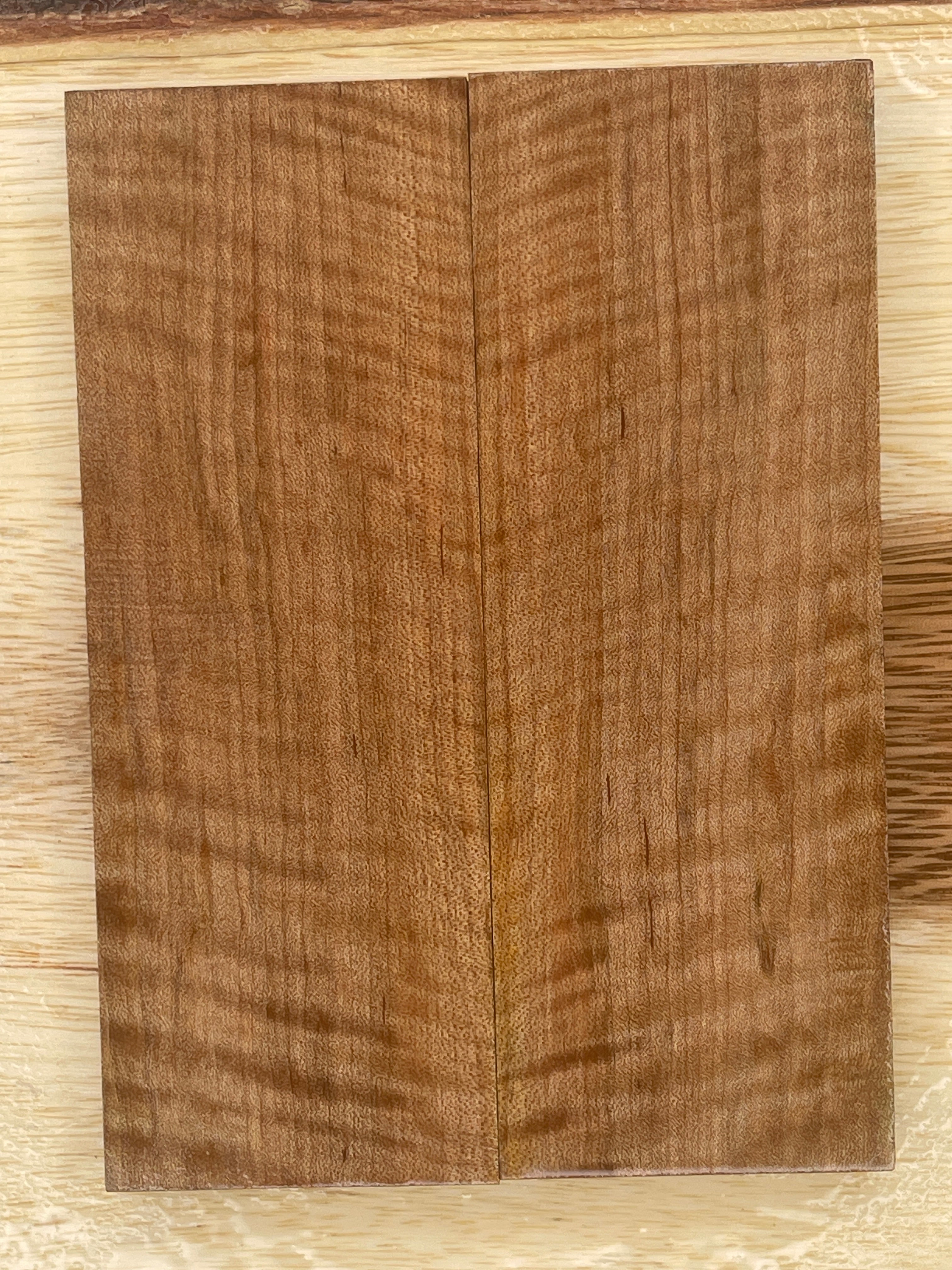 KS-119: Knife Scales - Stabilized Curly Maple - Jakob Janssen Studios