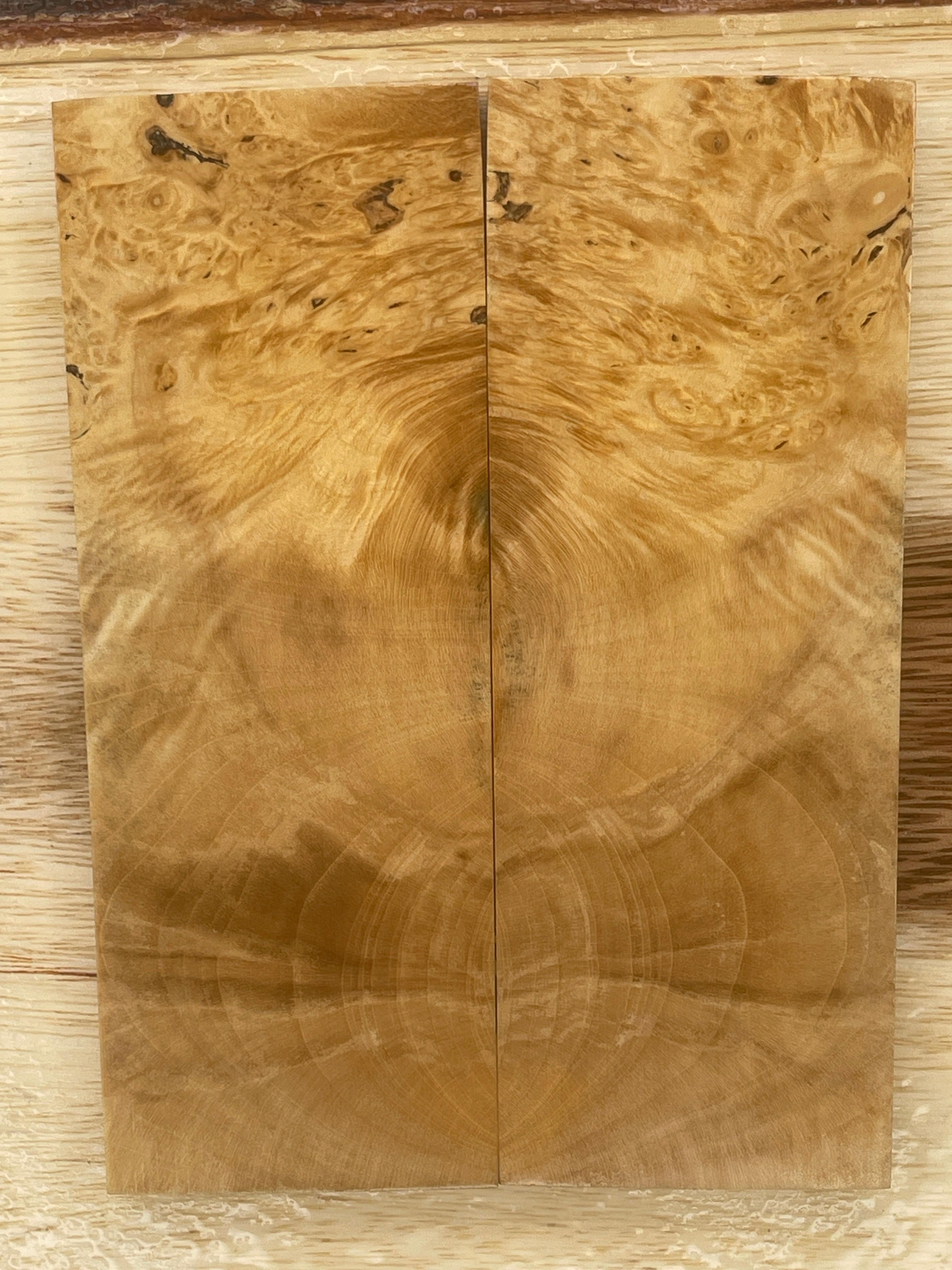 KS-134: Knife Scales - Stabilized Maple Burl - Jakob Janssen Studios