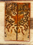 KS-235: Knife Scales - Hybrid Orange Resin Natural Stabilized Buggy Box Elder - Jakob Janssen Studios